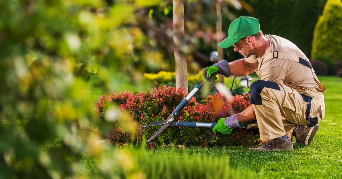 The Benefits of Professional Landscaping Services for Your Home